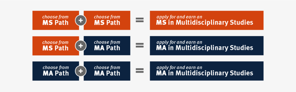 Multidisciplinary Studies (MA/MS) - UT San Antonio Online Programs